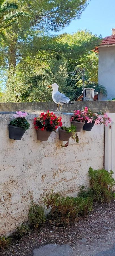 Joli Studio Les Pieds Dans L Eau Avec Place De Parking Gratuite Bandol Exterior foto